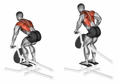 T-bar rows spiergroepen